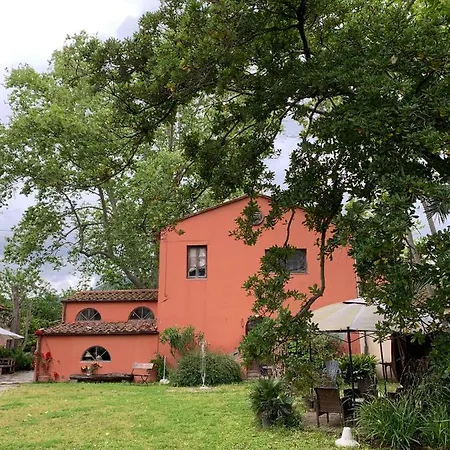 Holiday home La Piaggetta Massaciuccoli